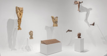 Image of works by Paul Pfeiffer