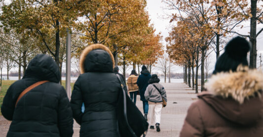 A photograph of a group of people walking together down a tree-lined dock. They are wearing winter jackets.